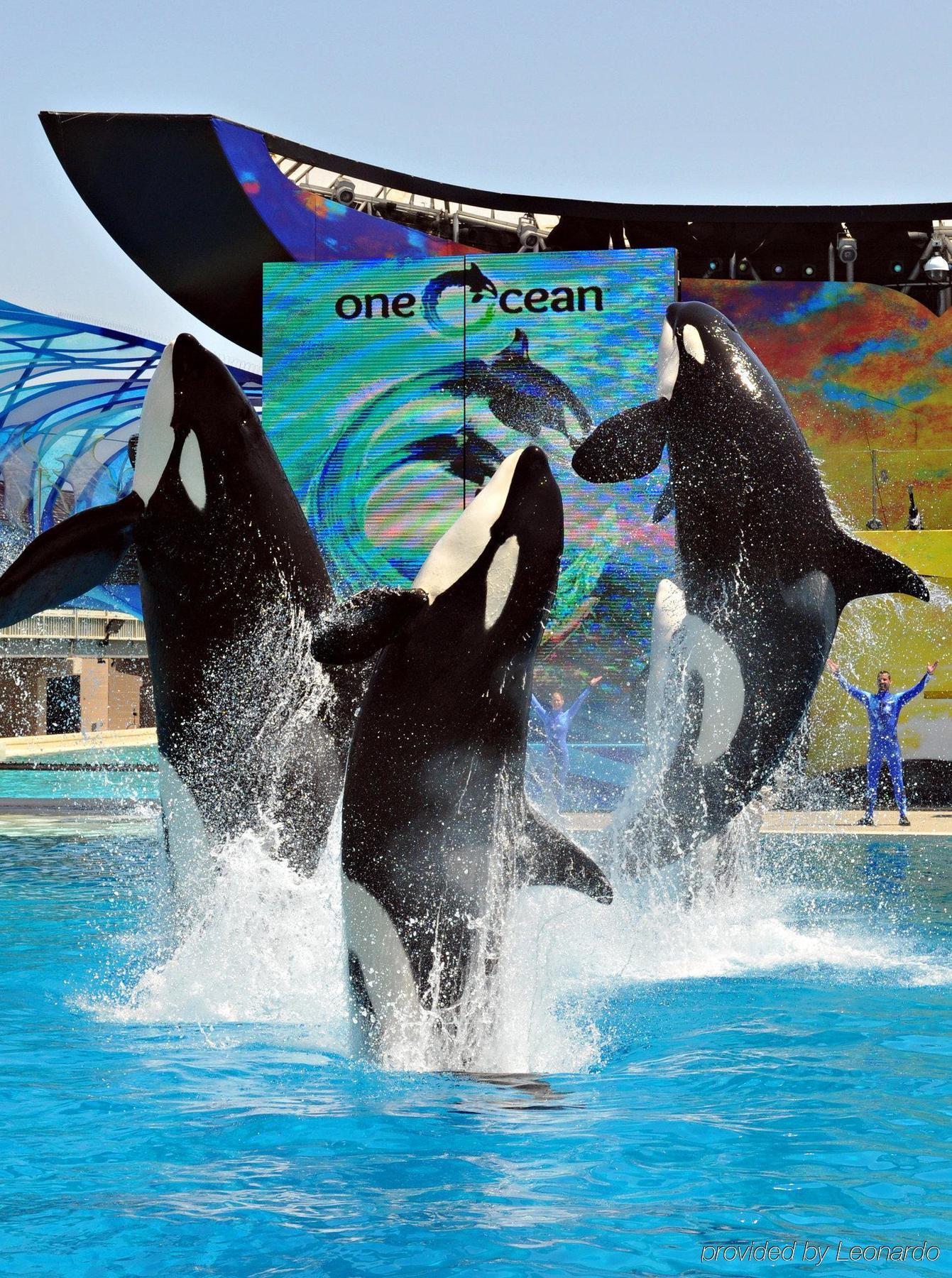 The Atwood - Seaworld/zoo 2*