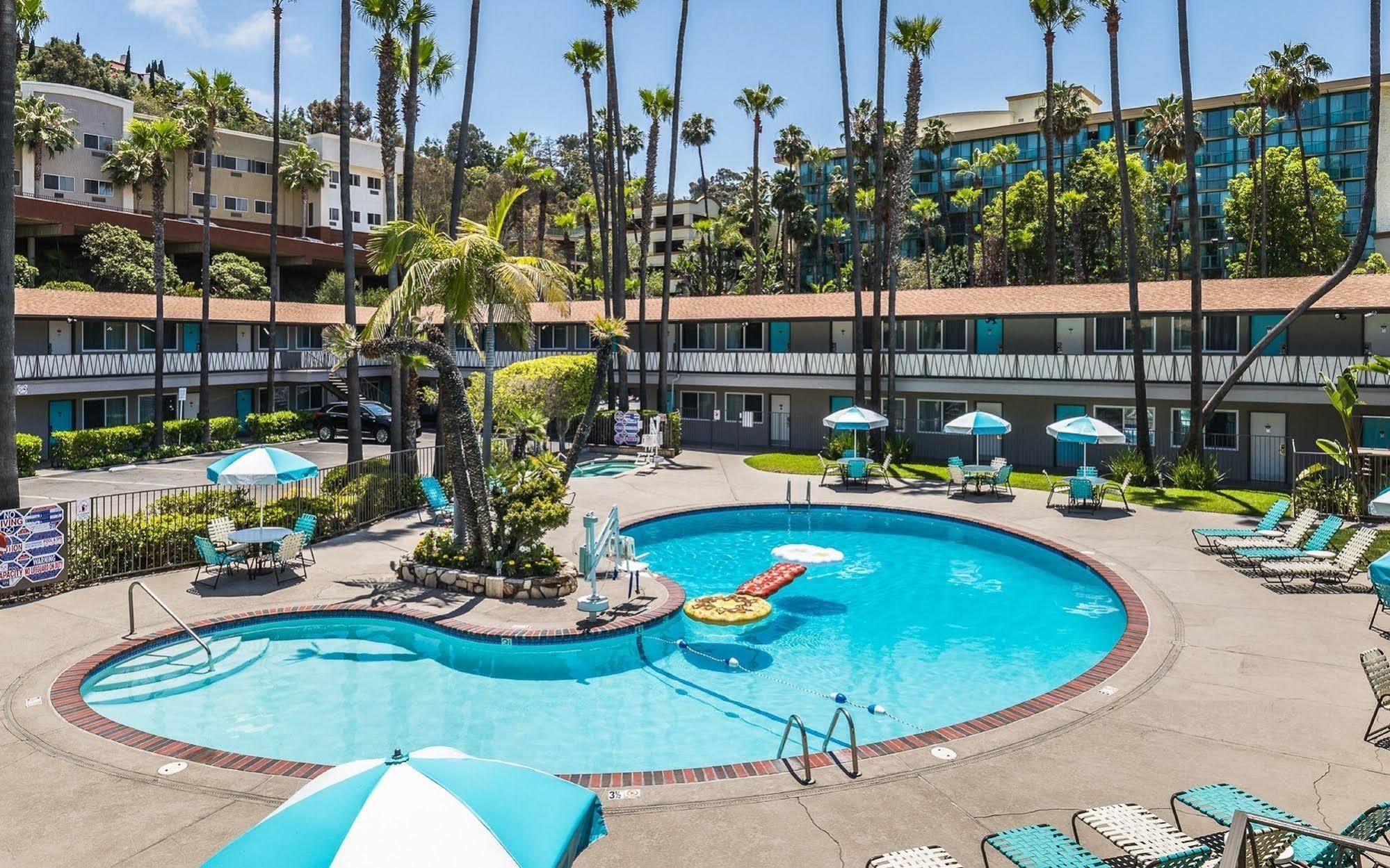Kings San Diego