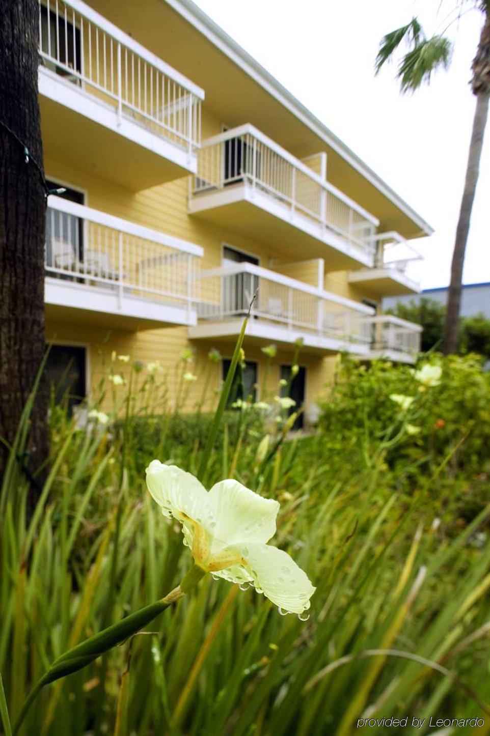 Four Points By Sheraton - Sea World Hotel 3*